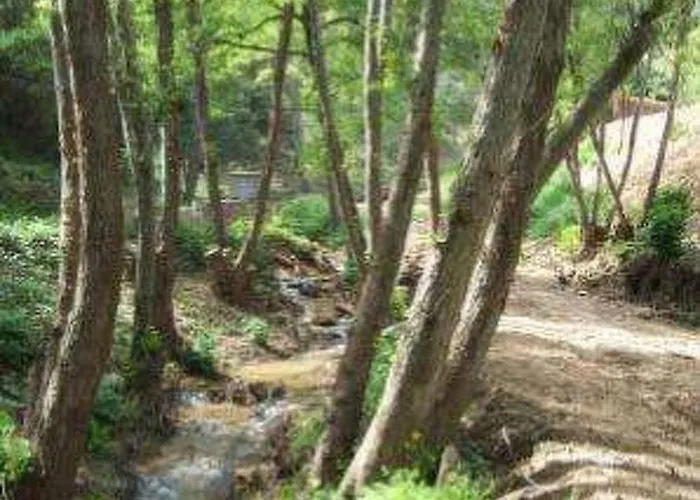 Salions By Interhome Апартаменты